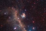 The Seagull Nebula Spreads its Wings